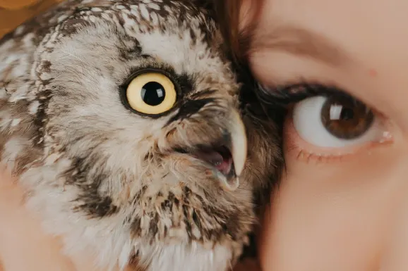 בטיטל קזינו תמיכה